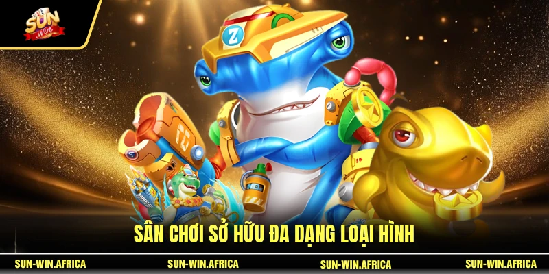 Sân chơi sở hữu đa dạng loại hình
