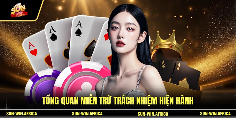 Tổng quan miễn trừ trách nhiệm hiện hành